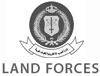 Land Forces - Military organisation